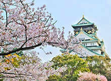 梦剧场重建序章？卡里克力荐新援，曼联夏窗引援风云再起